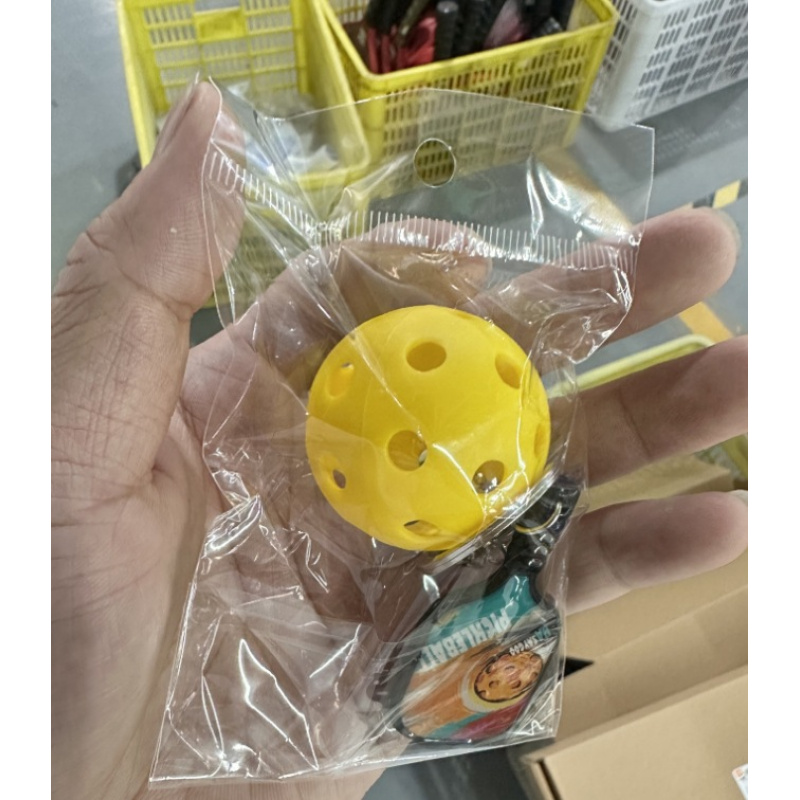 Mini Ciondolo Pickleball, Acce - Phone Accessories Toys recensione e prezzo